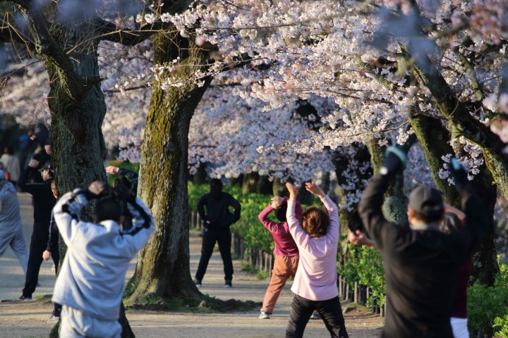 朝の体操をする人たち
