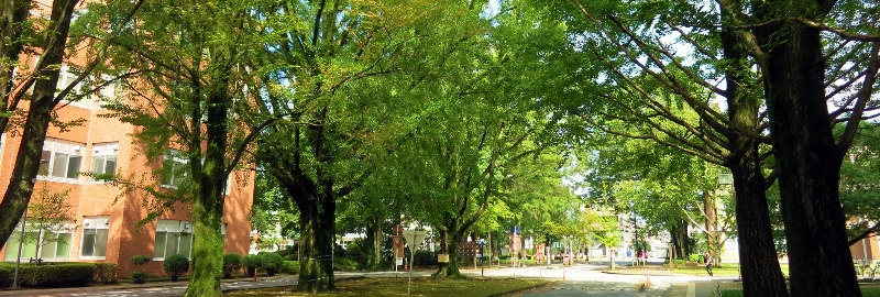 栃木県の産業医事情